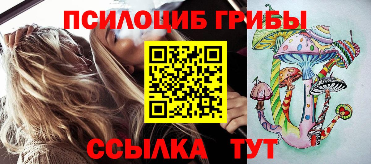 наркота  Вход с VPN  Ноябрьск  Псилоцибиновые грибы ЛСД  Галлюциногенные грибы Psilocybe 